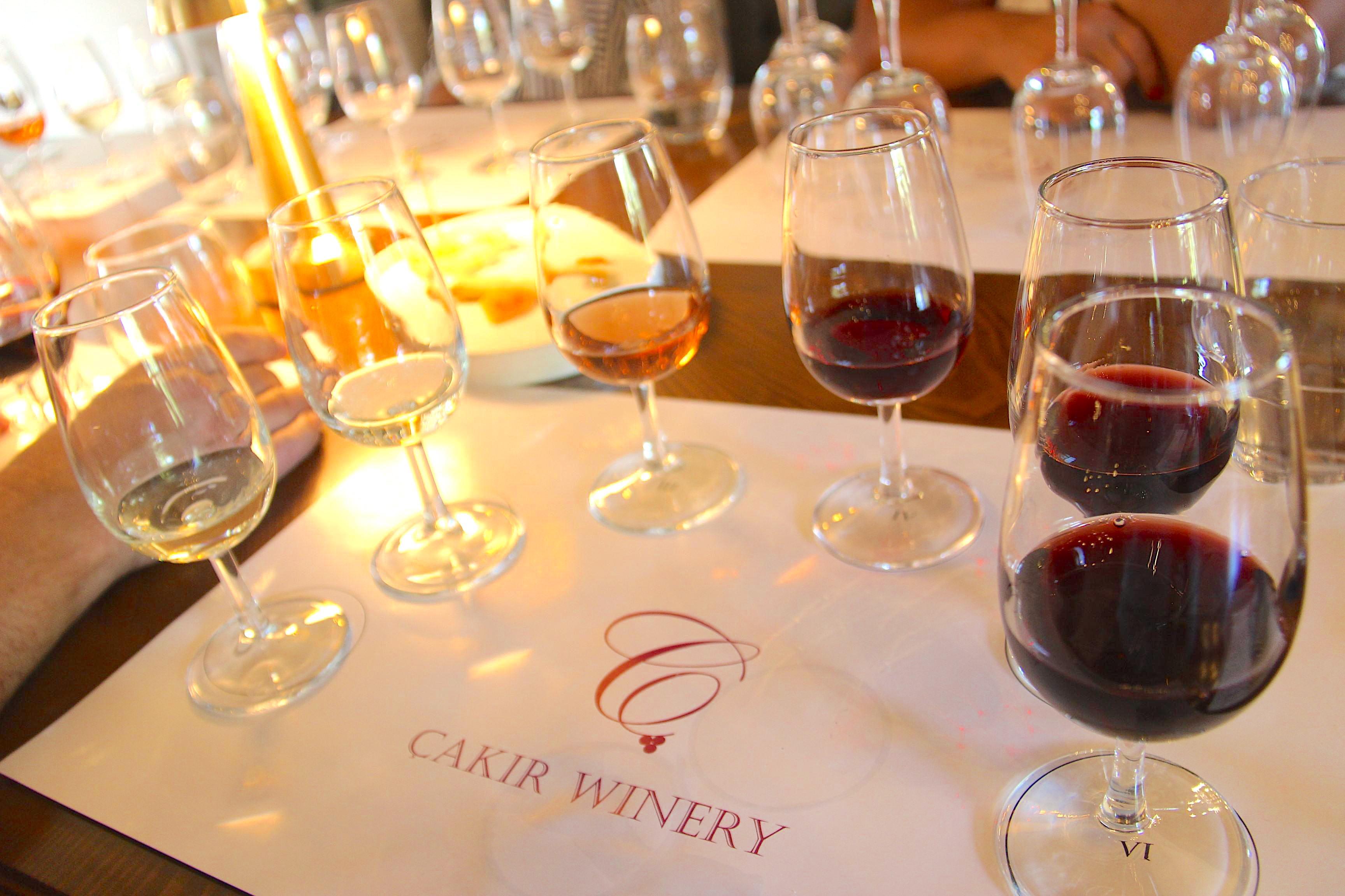 Wine Tasting in Urla (Çakir)