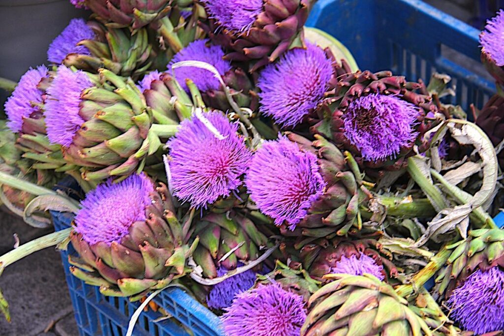 Alaçatı Market Artichoke