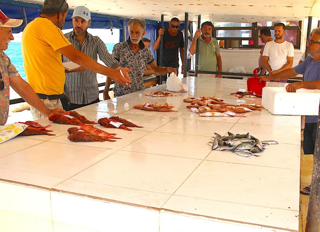 Trading the morning catch at Çeşme Fish Landing