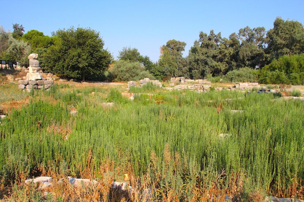 The Temple of Artemis