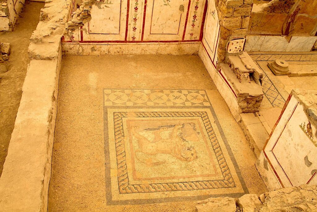 The Terrace Houses complex in Ephesus