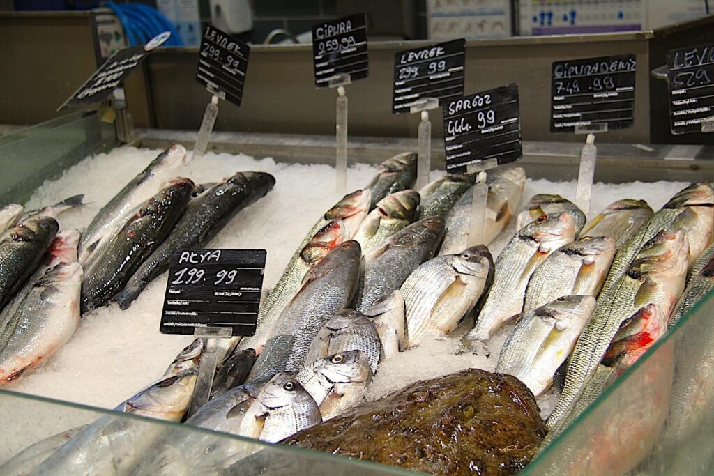 Fresh fish display at Carrefour