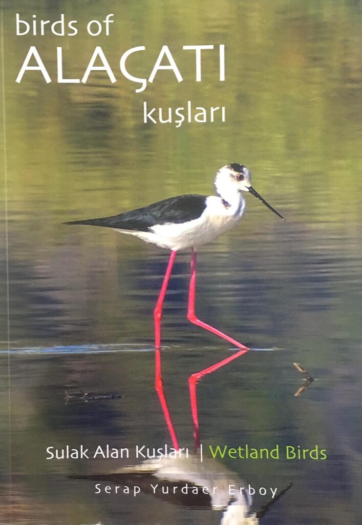 Birds of Alaçatı (front cover)