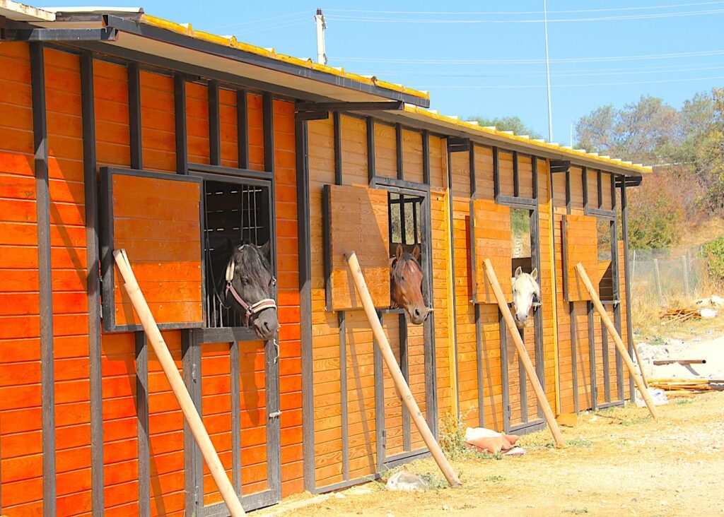 Çeşme Binicilik Stables