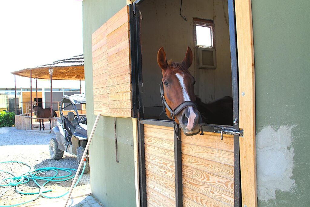 Çeşme Binicilik Stables