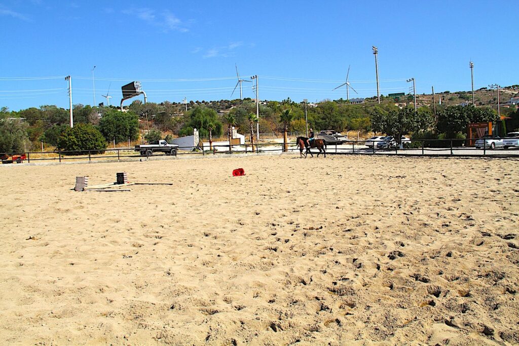 Çeşme Binicilik Riding Paddock