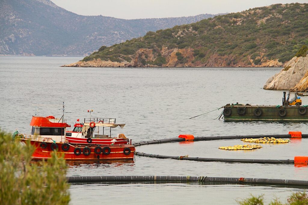 Karaburun Fish Farms