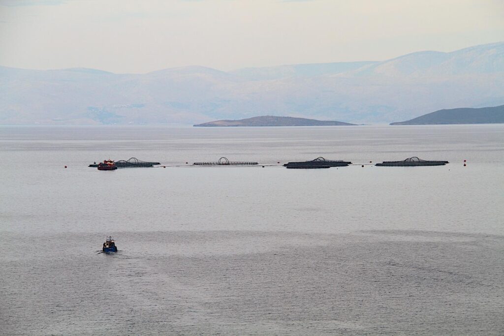 Karaburun Fish Farms