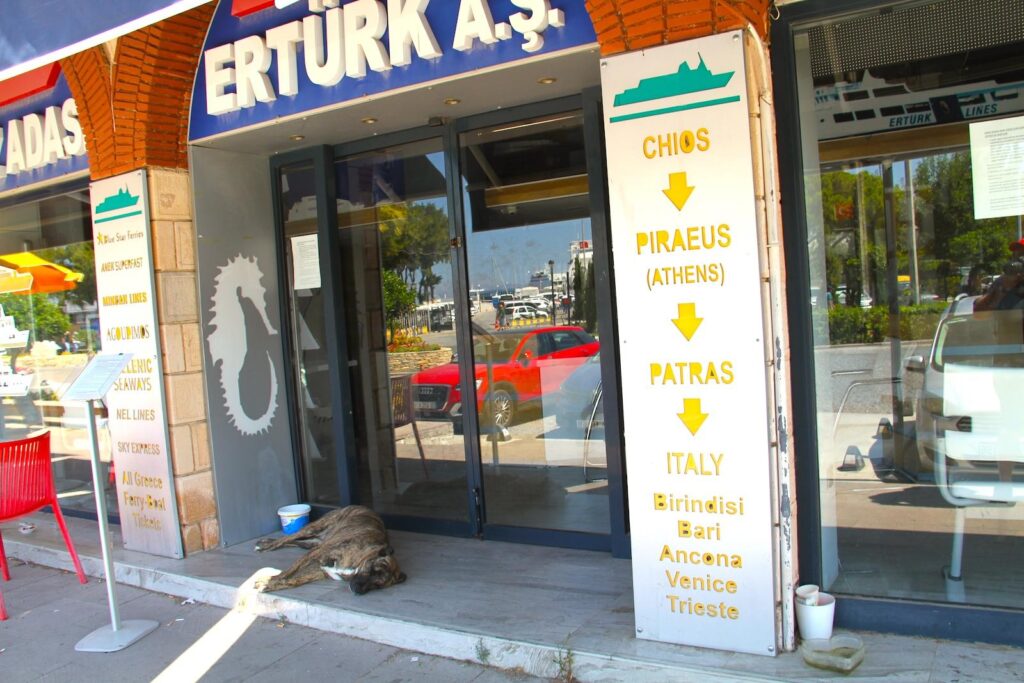 Ertürk Dog