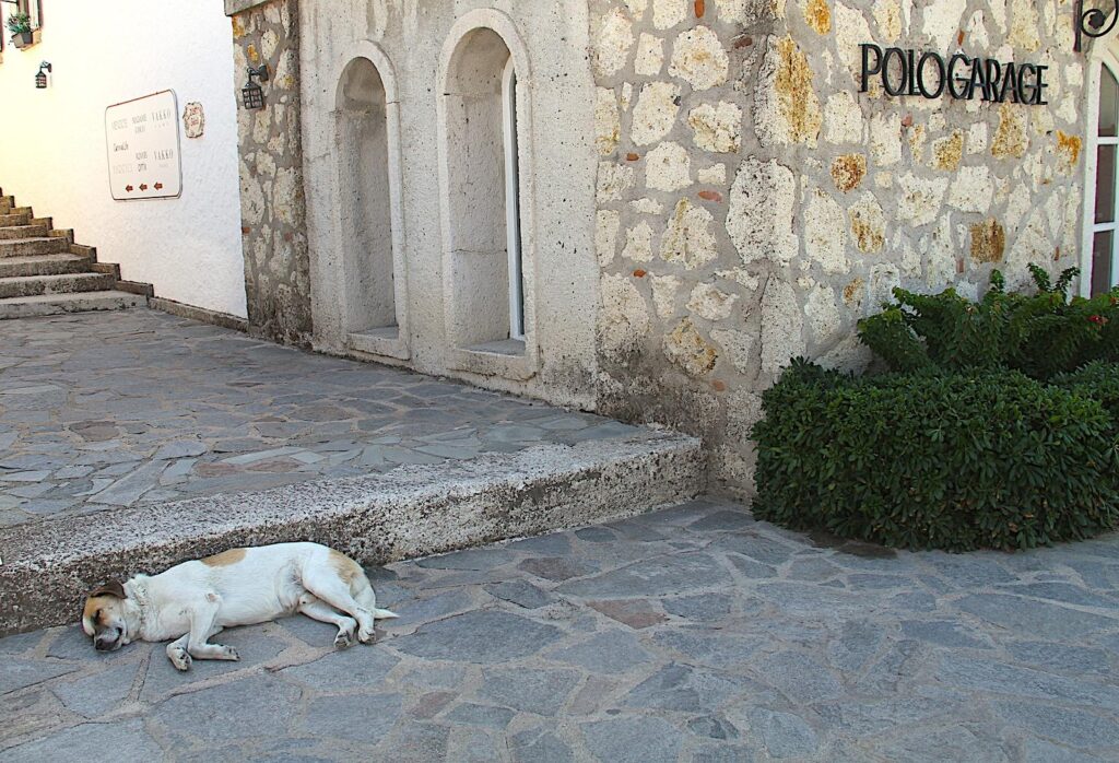 Taking a Break from Shopping in Çeşme Marina