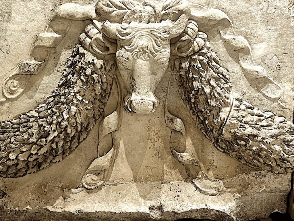 Bull Head Relief from Harbour Gymnasium (C2nd A.D.)