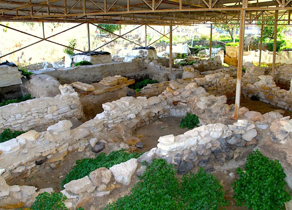 Main Excavation Site