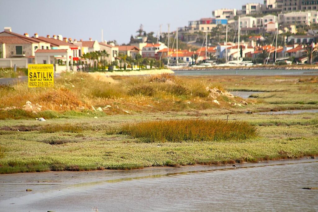 3,647 sqm of Alaçatı Wetland for Commercial Sale!