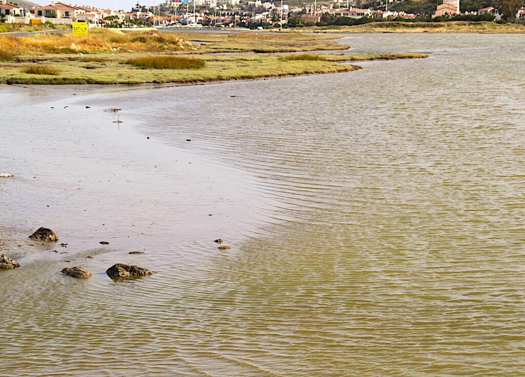 Alaçatı Wetland for Commercial Sale