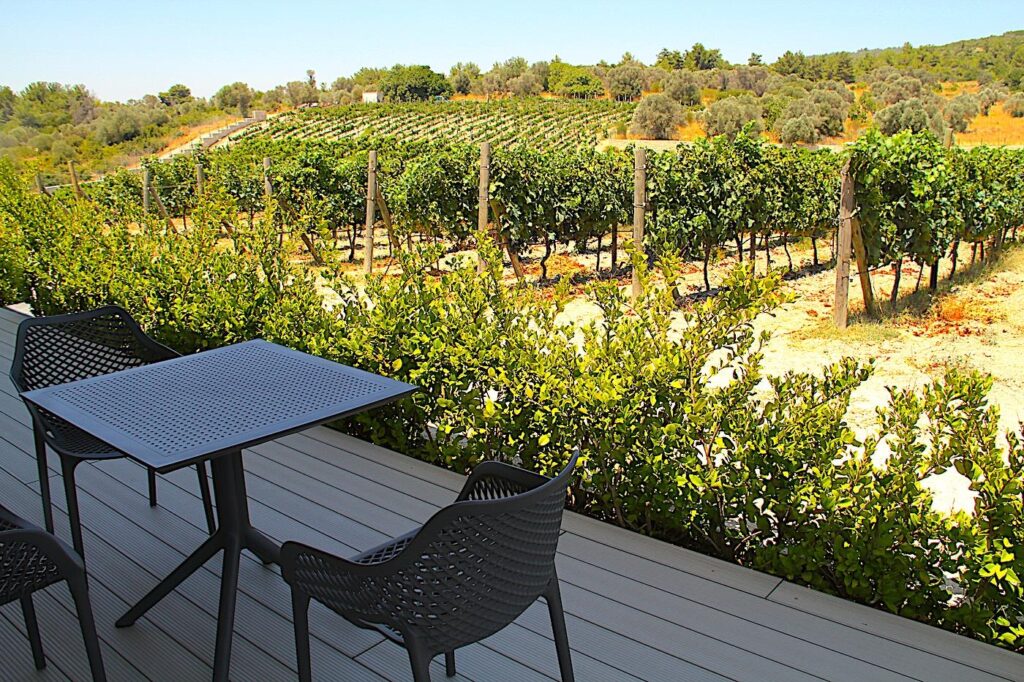 Statera Wineyards Tasting Hall