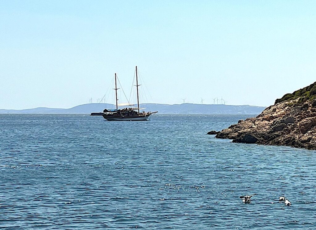 Çeşme Boat Trips - The Saint Mary