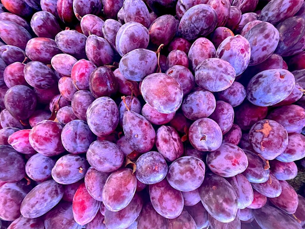 Damsom Plums - Erik Üzüm