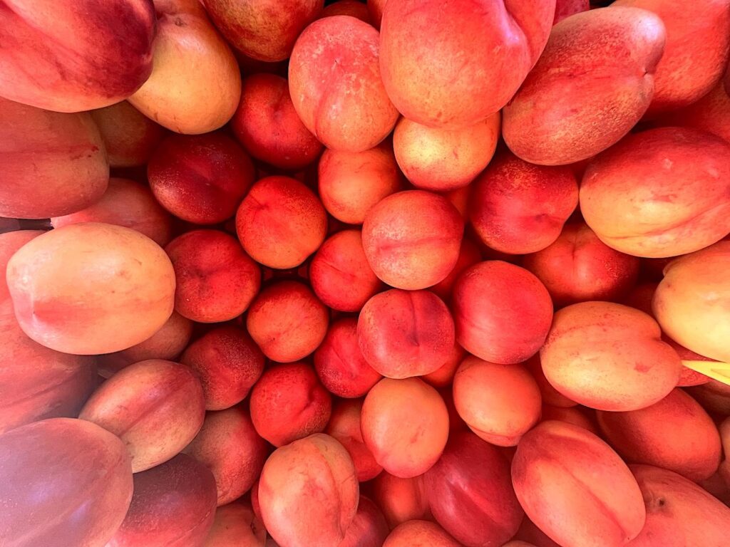 Nectarines - 
Nektarin