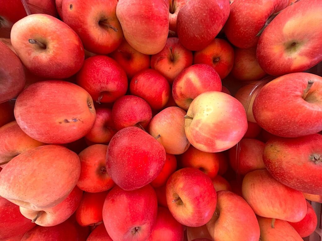 Starting Delicious (Apple) - Starking Elması