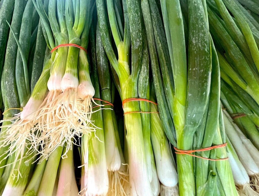 Spring Onions - Taze soğan