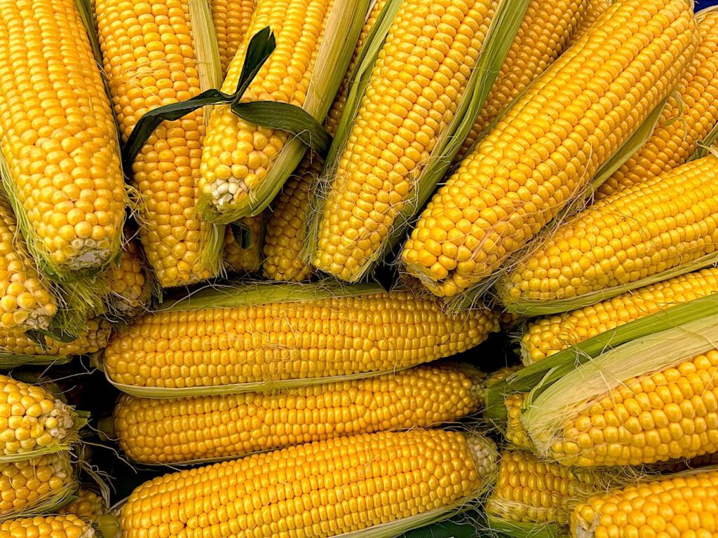 Sweetcorn - Şeker mısır