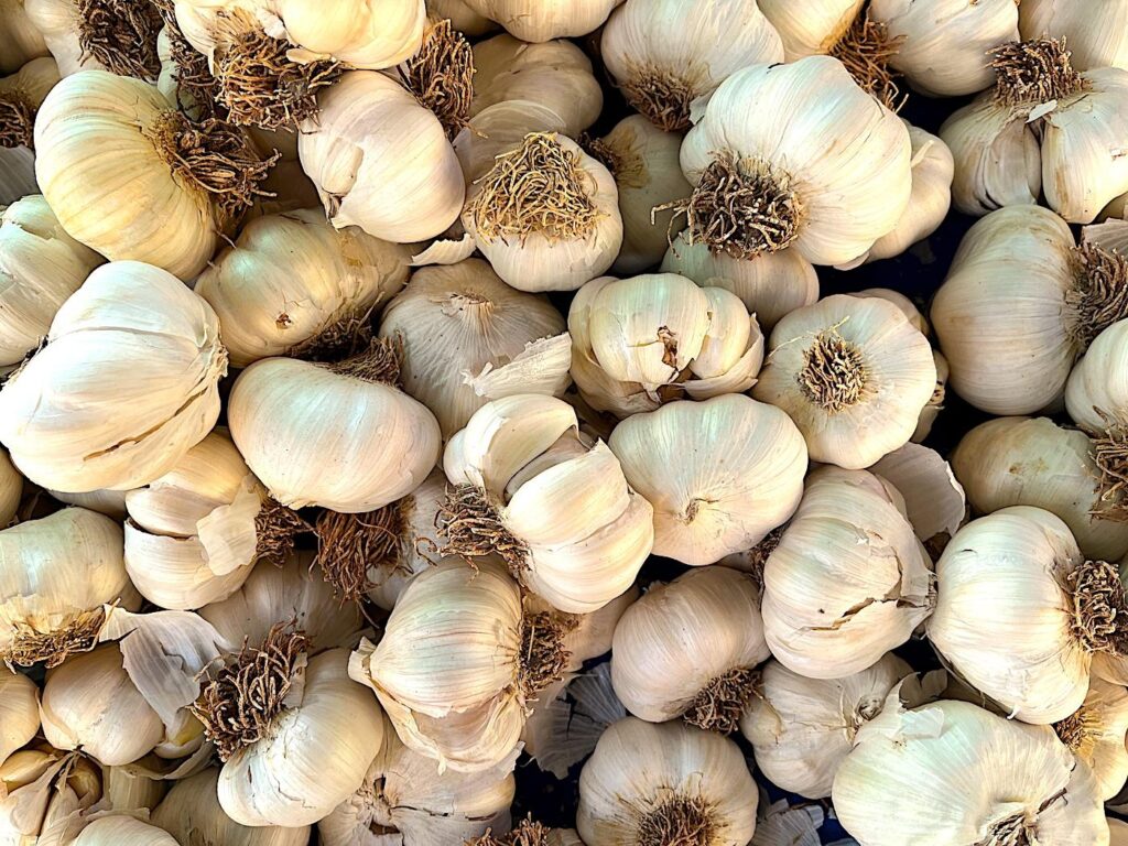 Garlic - Sarımsak