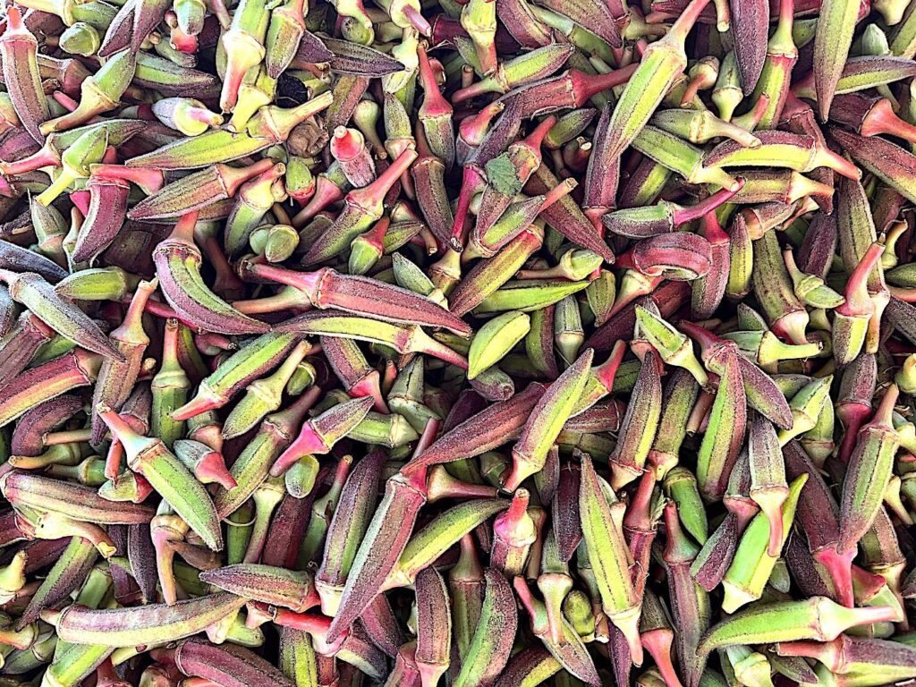 Okra - Bamya