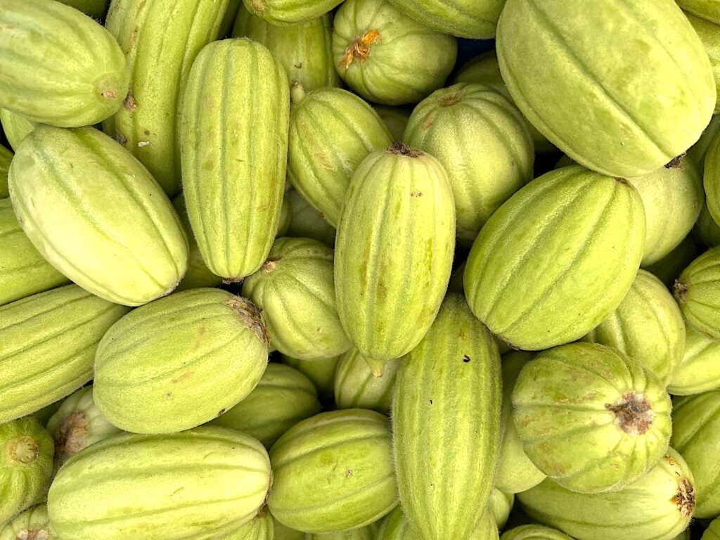 Melon Cucumber - Badem Acur