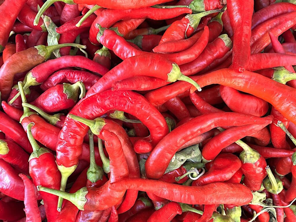 Hot Red Pepper - Acı kırmızı biber