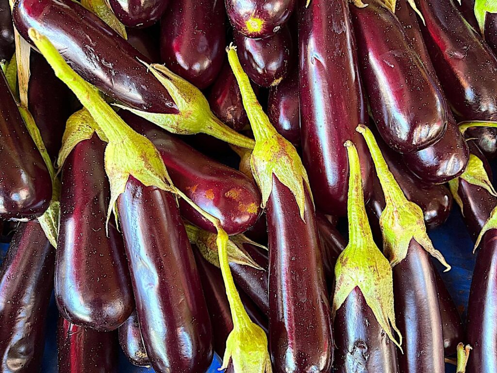 Aubergine - Patlıcan