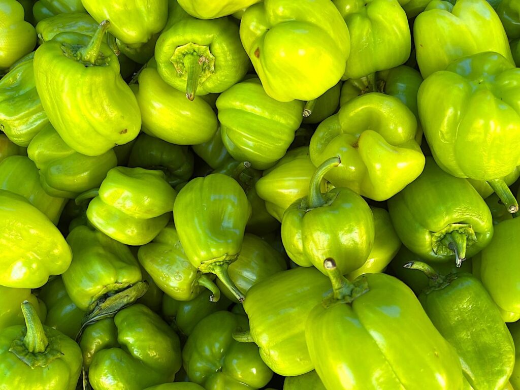 Dolma Bell Pepper - Dolmalık Biber