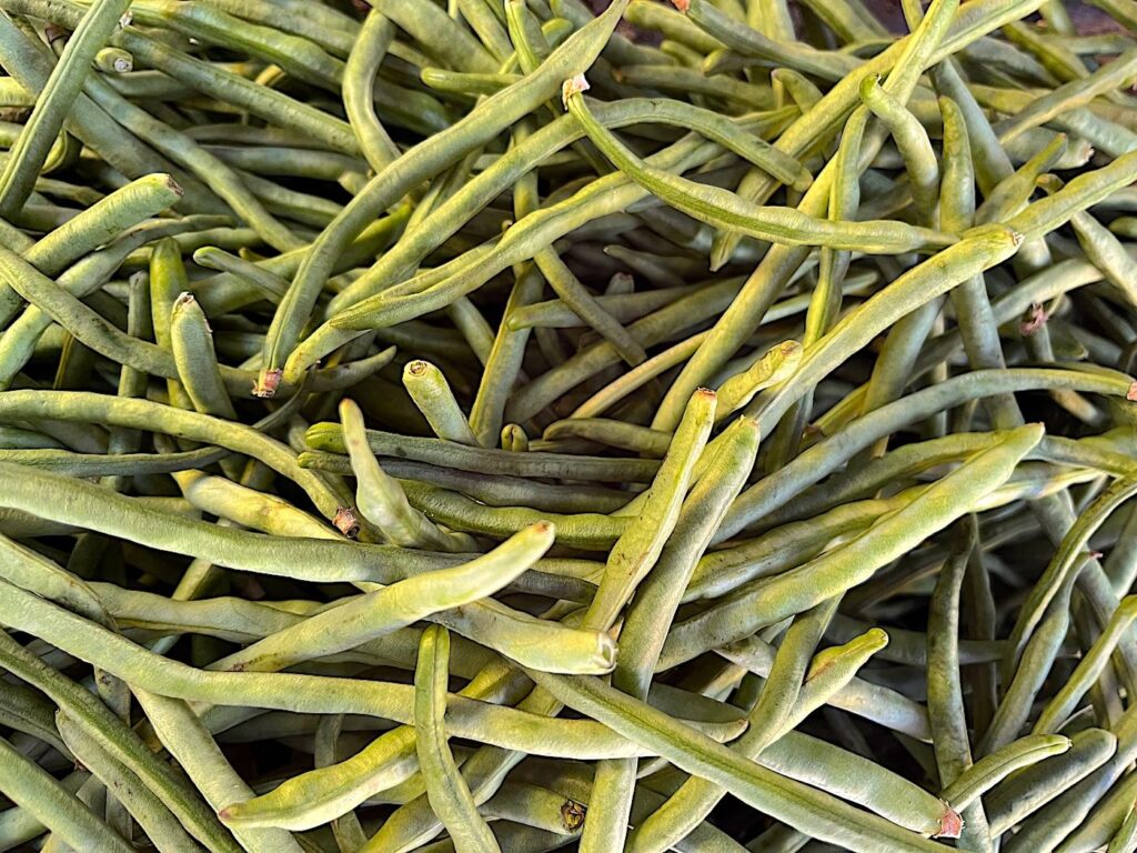 Black-eyed Pea - Börülce