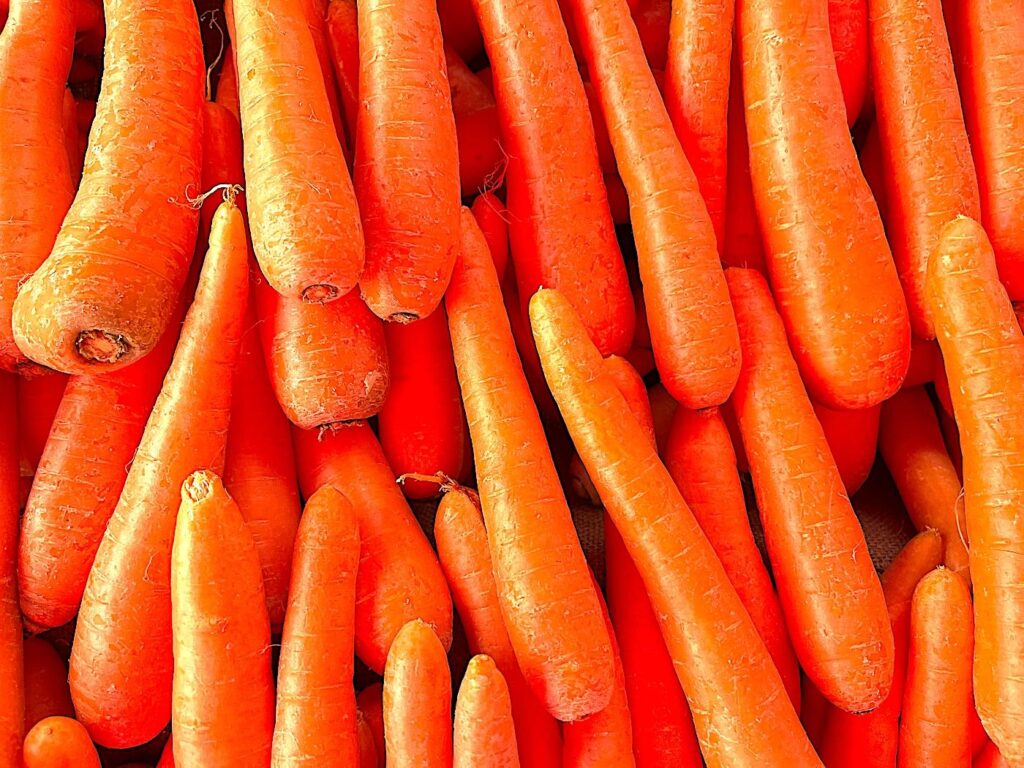 Carrot - Havuç