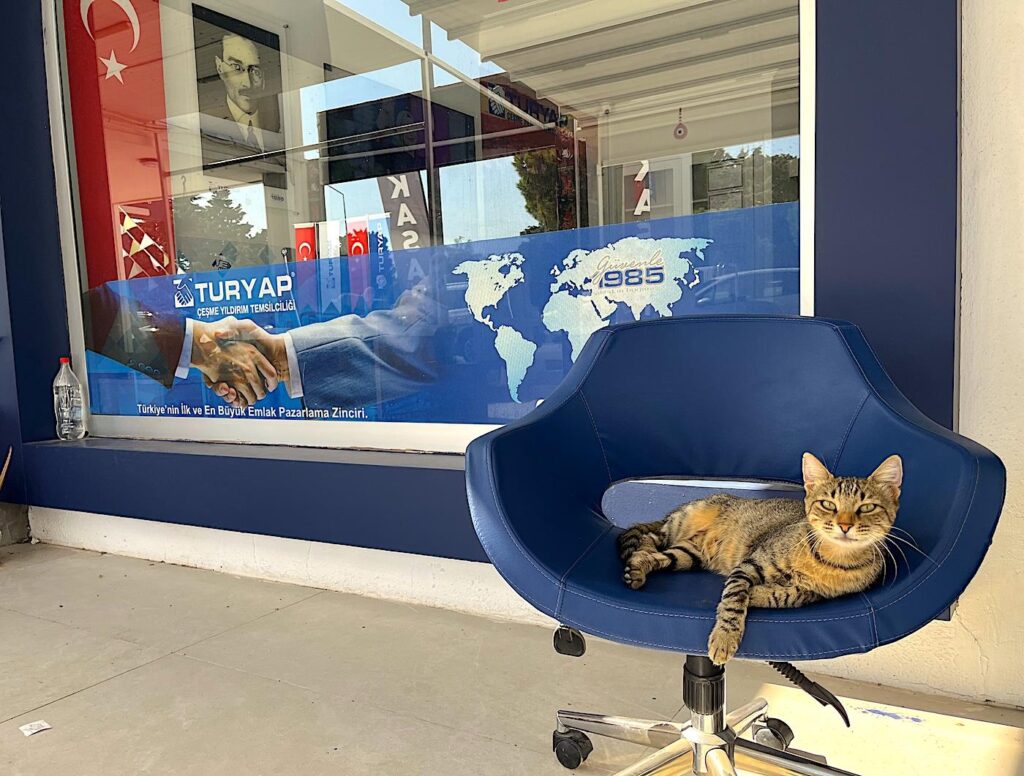 Cesme Cat Real Estate