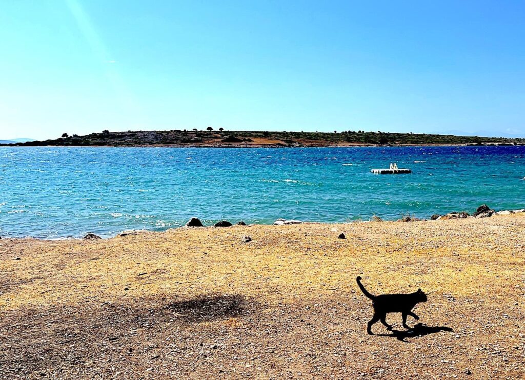  Ildır Beach Cat