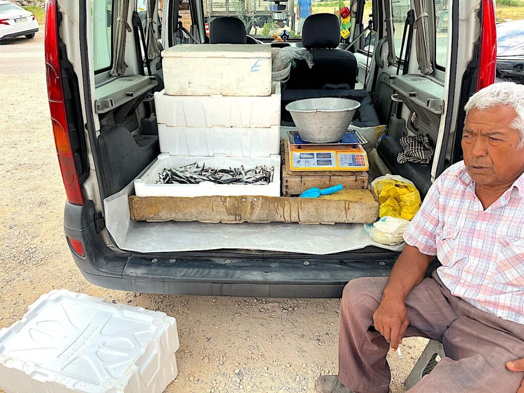 Ildır Monday Market - Fish