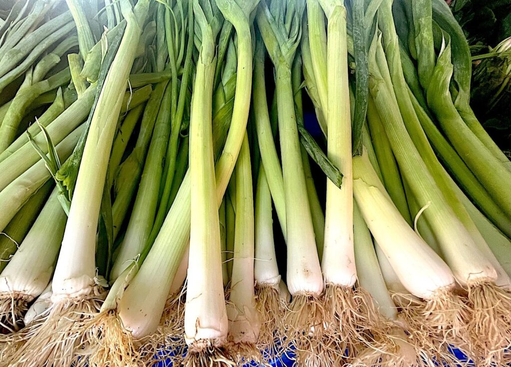 Leeks - Pırasalar