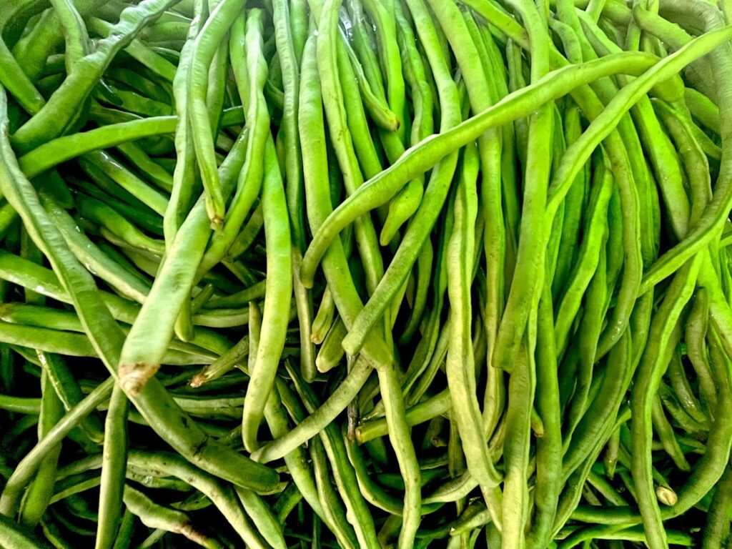 Bush Beans - Çalı Fasulye