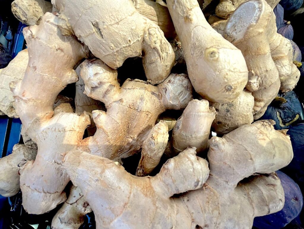 Ginger Root - Zencefil Kökü