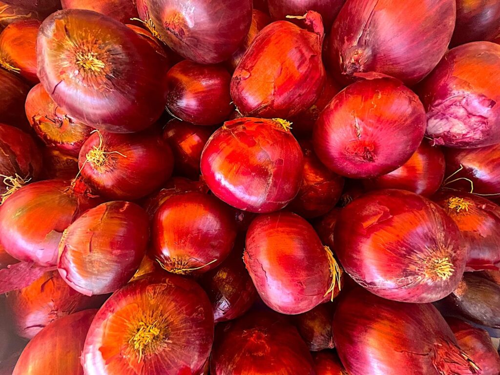 Red Onion - Kırmızı Soğan