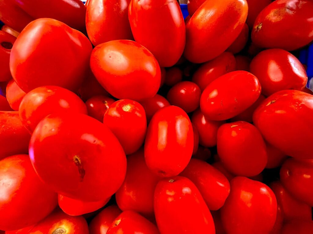 Roma Plum Tomato - Salça domatesi