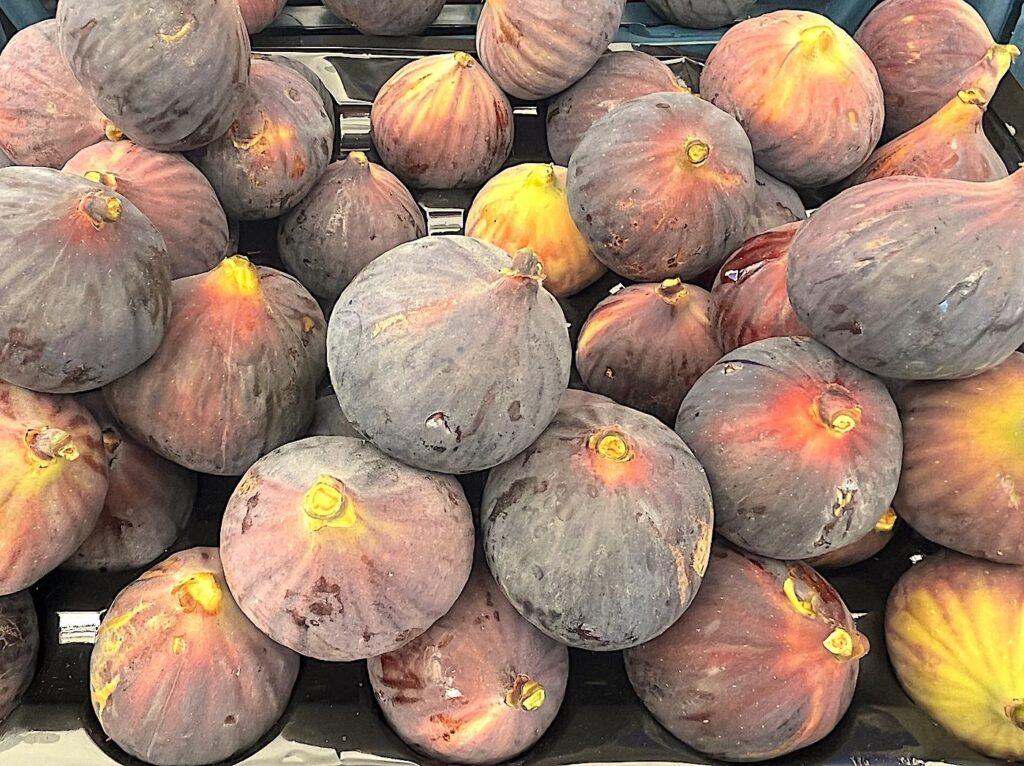 Dark-purple Figs - Bardacık İnciri