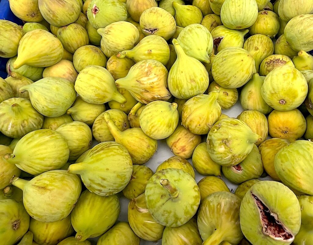 Green-yellow Figs - Sarılop İnciri