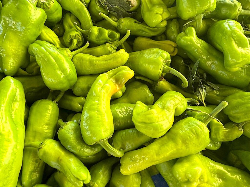 Charleston Peppers - Çarliston Biber 