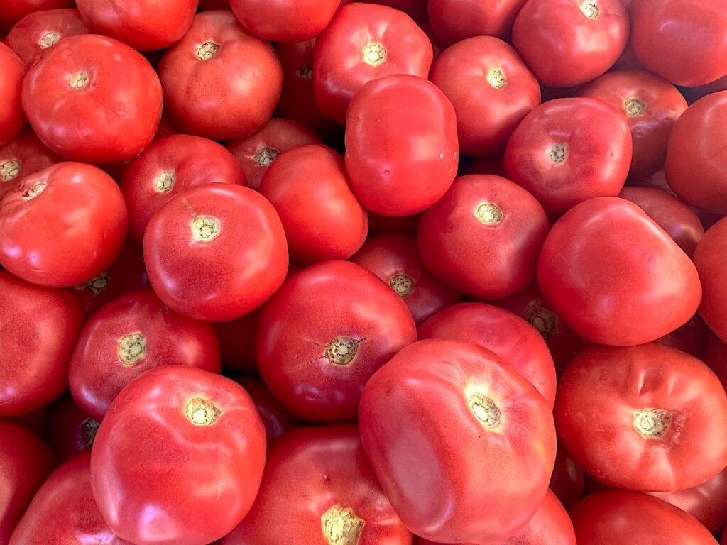 Pink Tomatoes - Pembe domates
