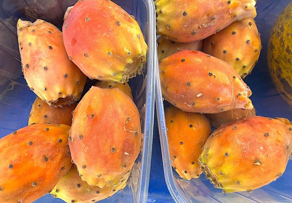 Prickly Pears - Frenk inciri