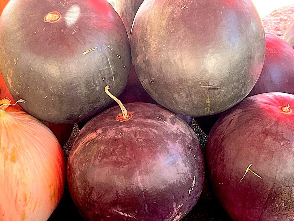 Black Watermelon - Karakış Karpuzu