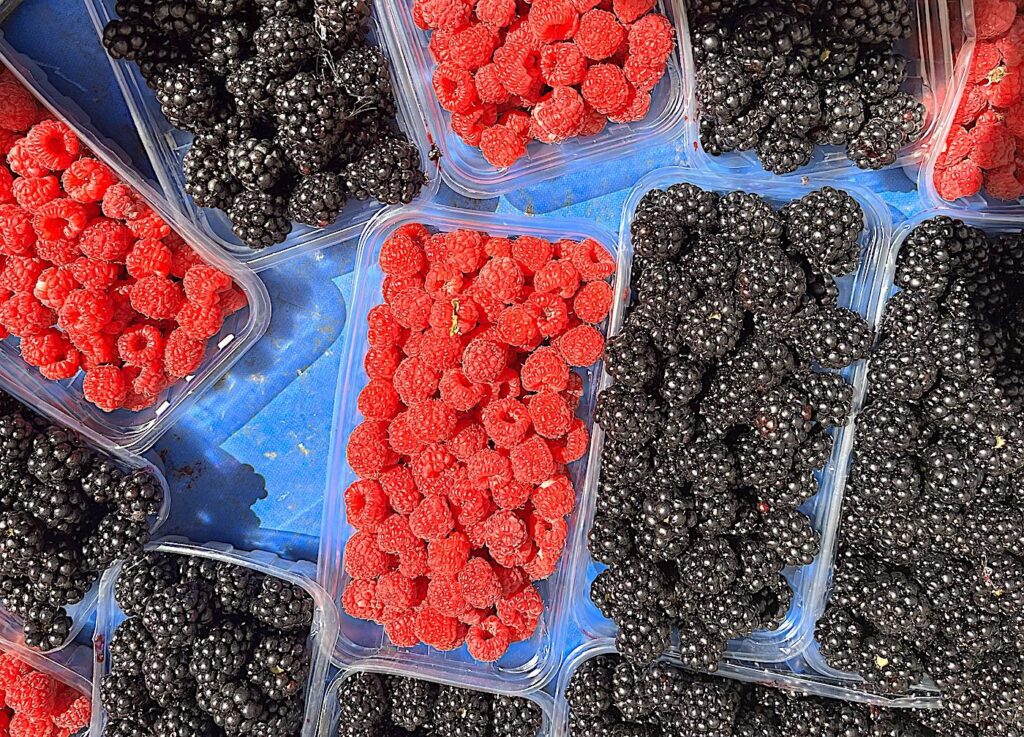 Raspberries/Blackberries - Ahududu/Böğürtlen