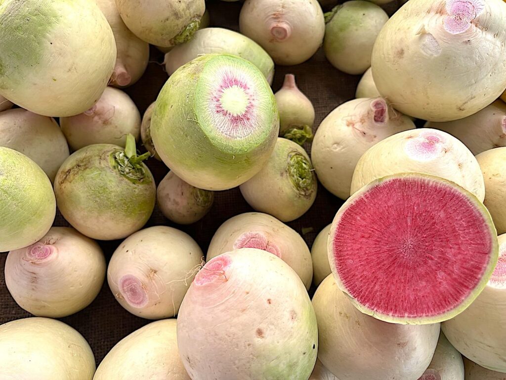 Watermelon Raddish - Karpuz turpu