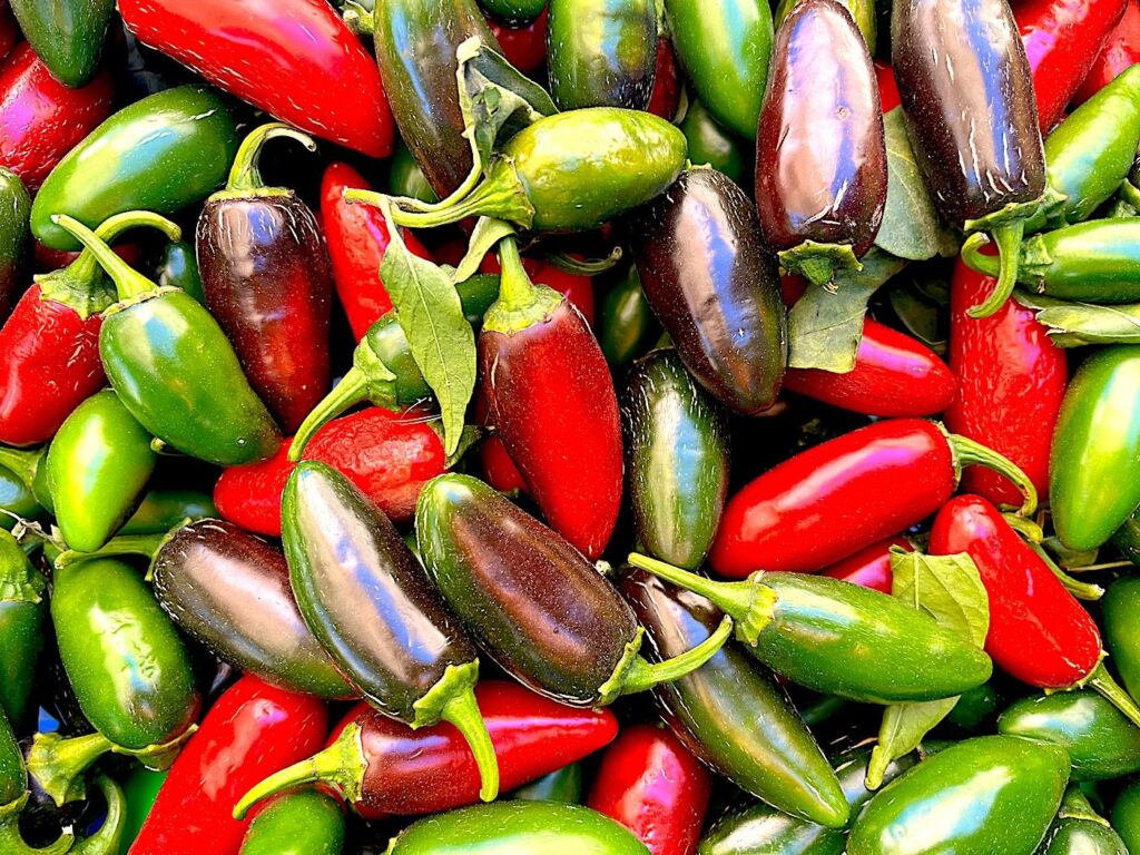 Jalapeño Peppers - Jalapeno biberi